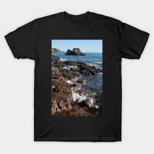 Rocky shoreline at St Abbs, Scotland T-Shirt